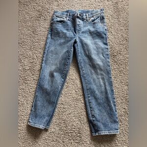 Jag Maya Capri Jeans - Size 8/24 - New Without Tags